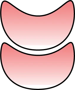 image-section-1